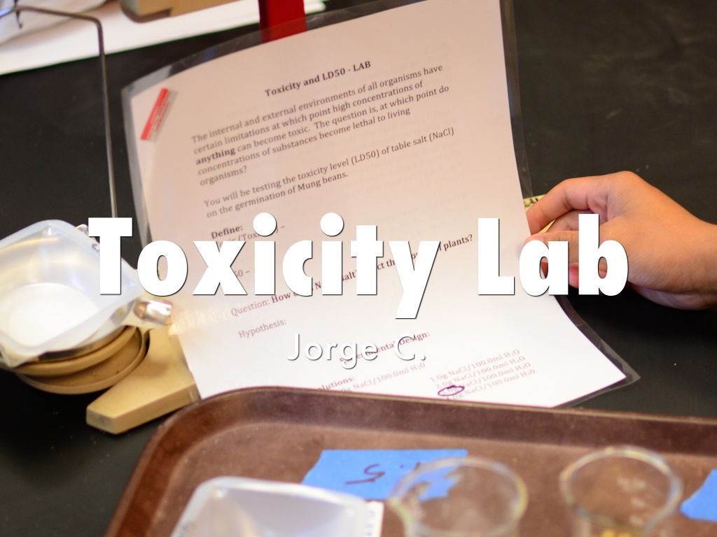 toxicity lab