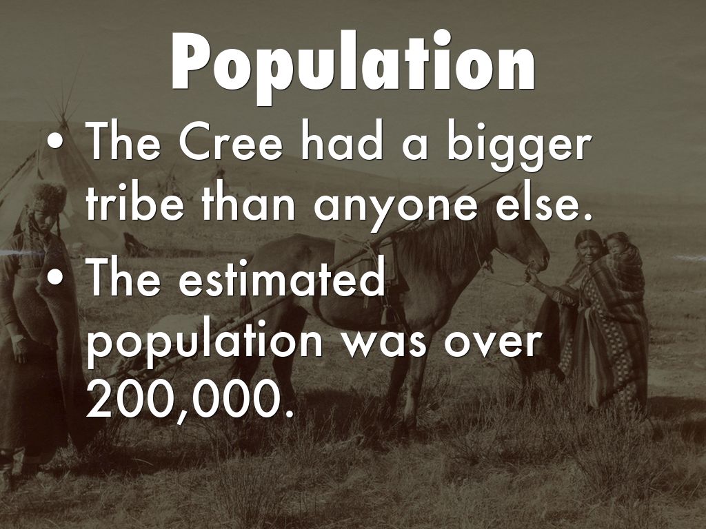 Cree Indians By Allenk