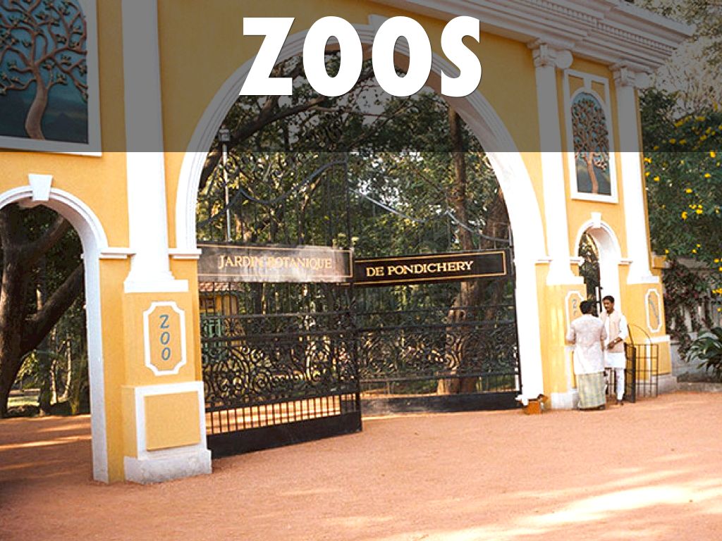 Zoos