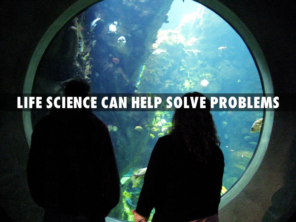 Science problem solving activities picture
