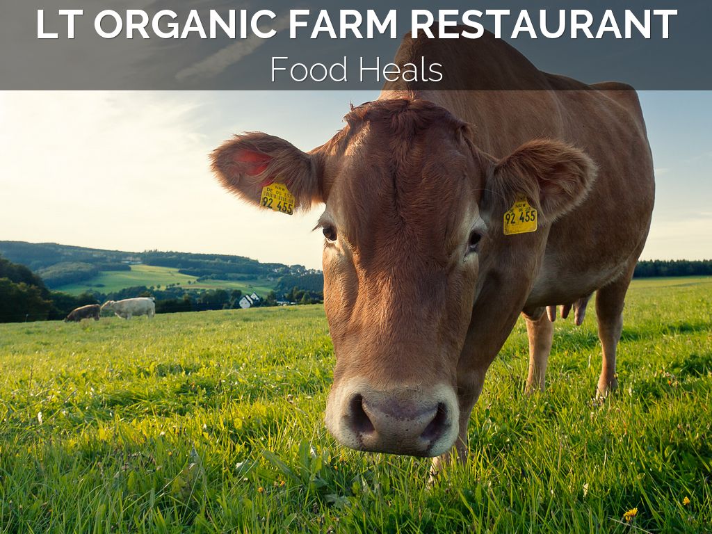 LT Organic Farm Restaurant