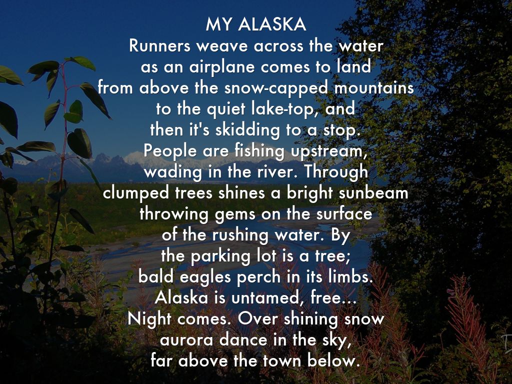 MY ALASKA Runners weave across the water  as an airplane comes to land from above the snow-capped mountains to the quiet lake-top, and then it's skidding to a stop. People are fishing upstream, wading in the river. Through clumped trees shines a bright sunbeam throwing gems on the surface of the rushing water. By the parking lot is a tree; bald eagles perch in its limbs. Alaska is untamed, free... Night comes. Over shining snow aurora dance in the sky, far above the town below.