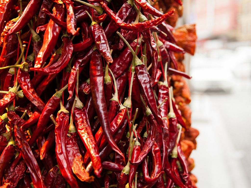 Warrior Herbs by Asia Amanzi Gilchriest