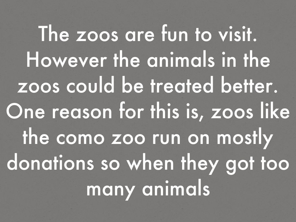 Zoo animals by sheal20249