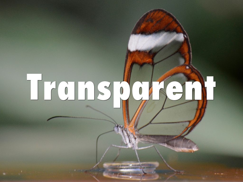 Transparent