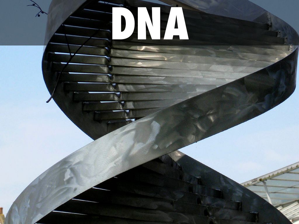 DNA