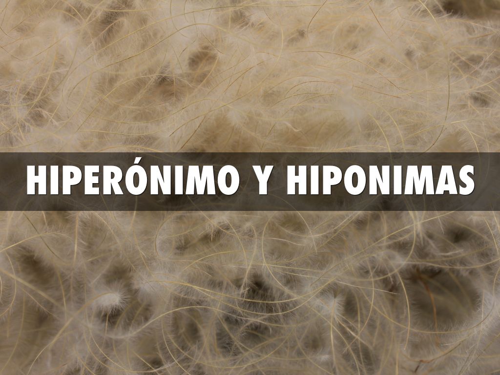 HIPERÓNIMO Y HIPONIMAS