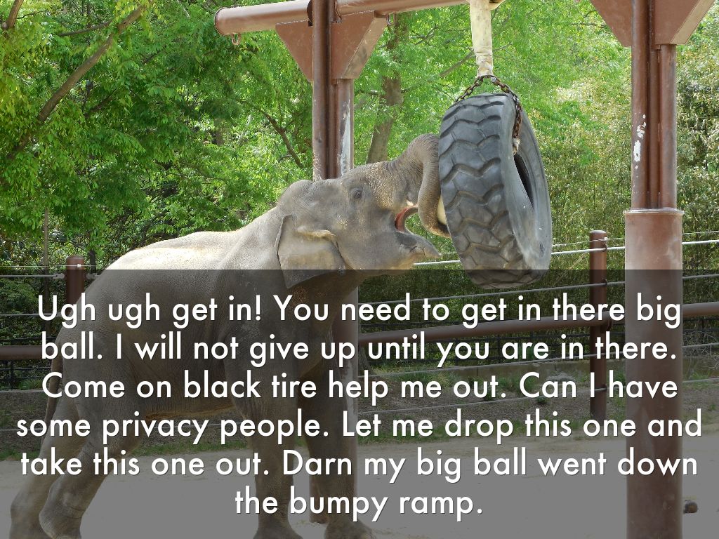 Grace Walker Zoo