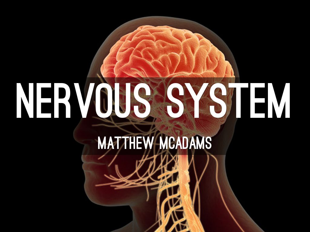 Nervous System