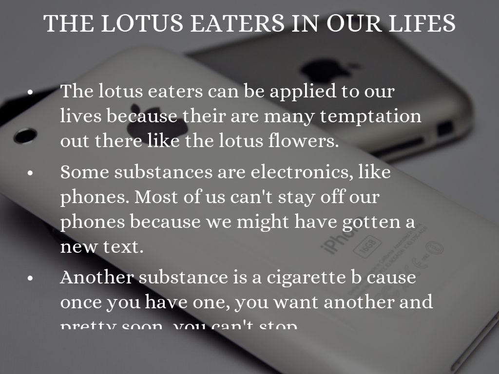 Lotus Flowers by Megan Trese