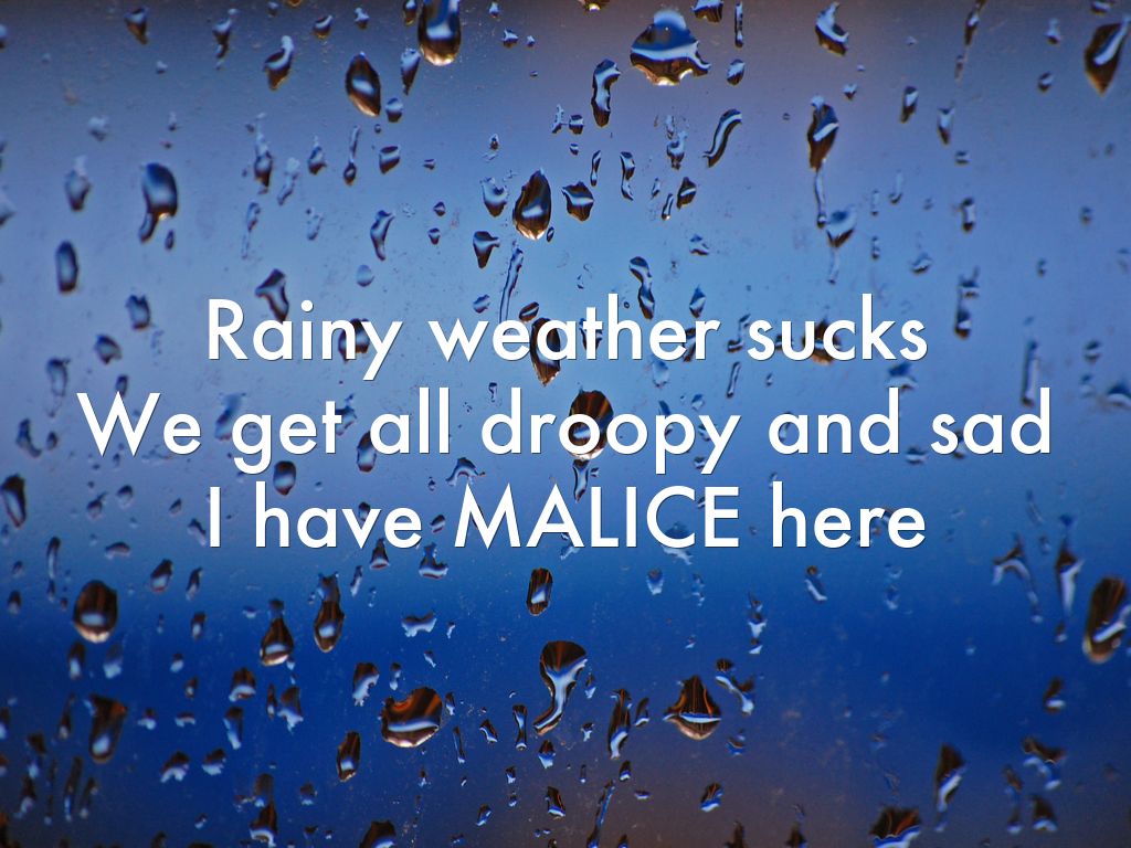 Rainy weather sucks We get all droopy and sad I have MALIICE here