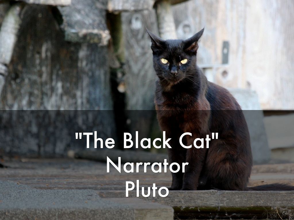 Unit 3 Research by Julie Hanson