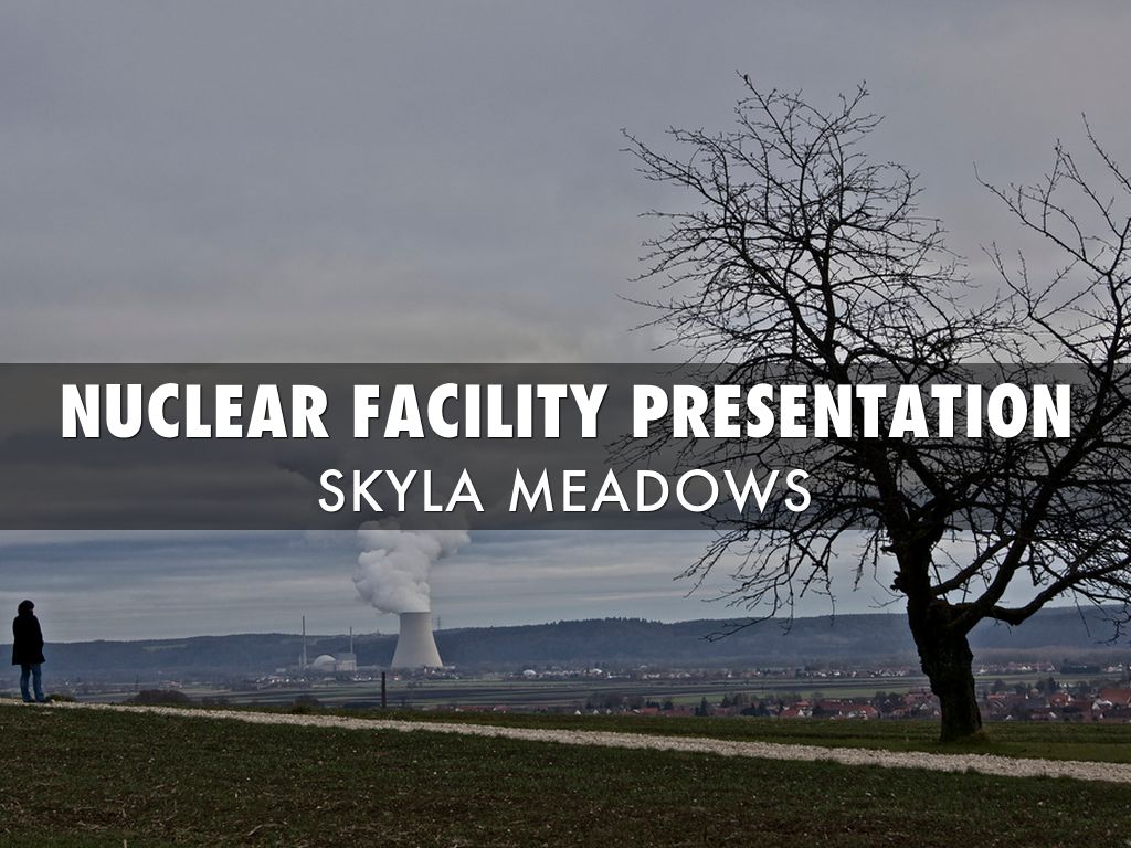 Nuclear Power Plants