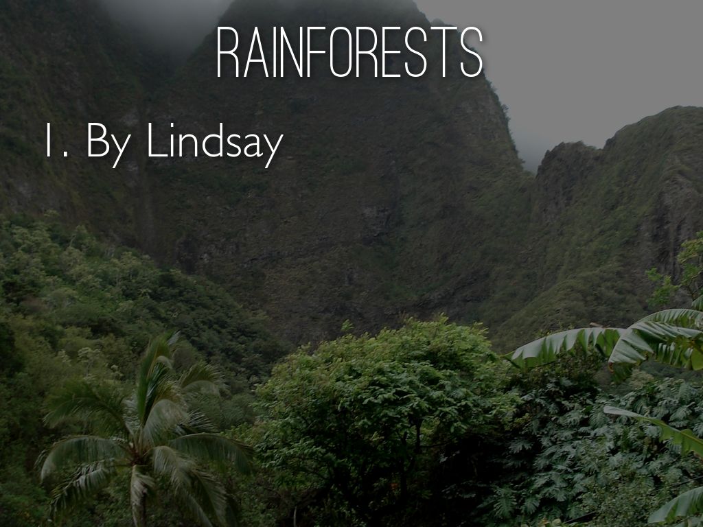 Rain forests