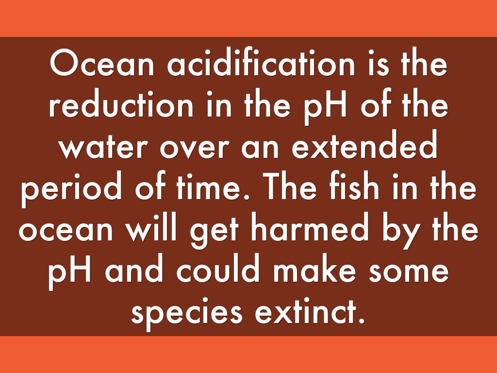 Acid Rain by mstjohn2