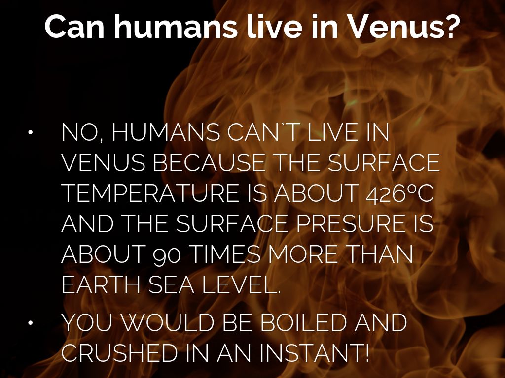 venus-by-belu-mili-manu-pipo-and-juamba