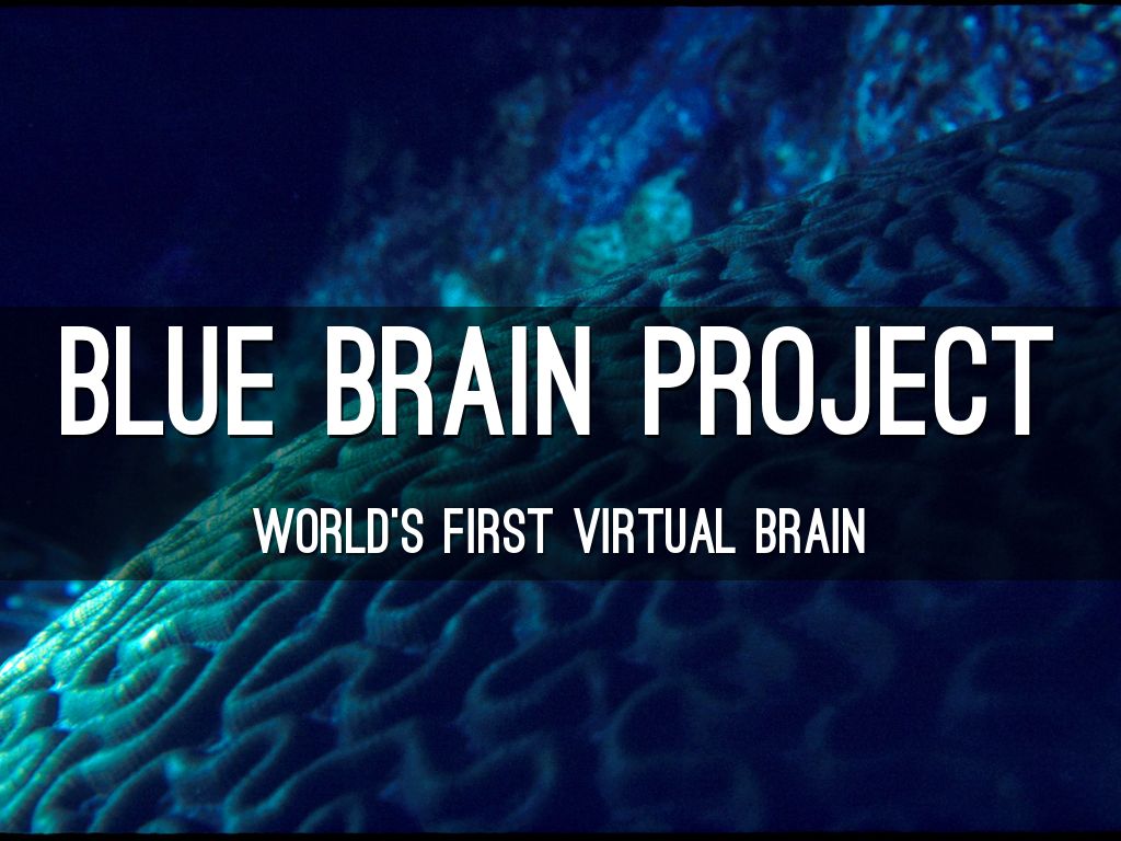 Blue Brain Project