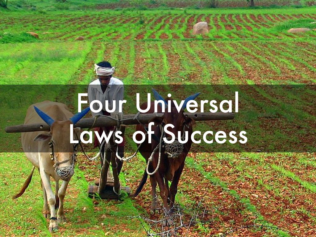 Four Universal Laws of Success
