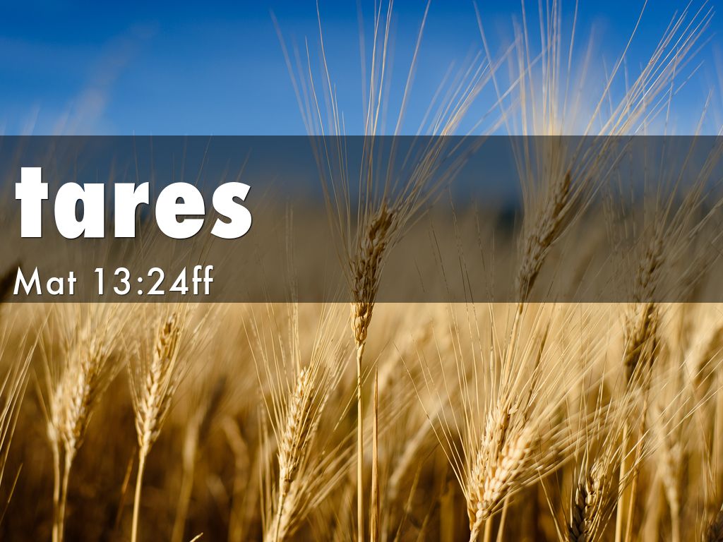 Tares