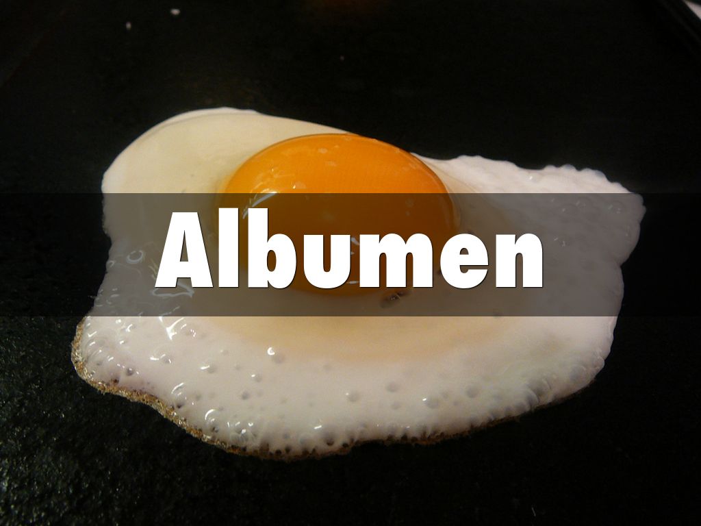 Everyday Science of Eggs by and02302