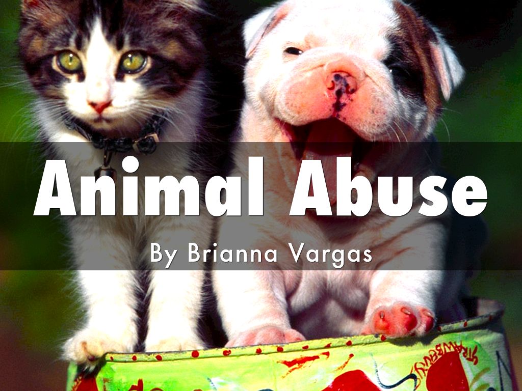 animal abuse