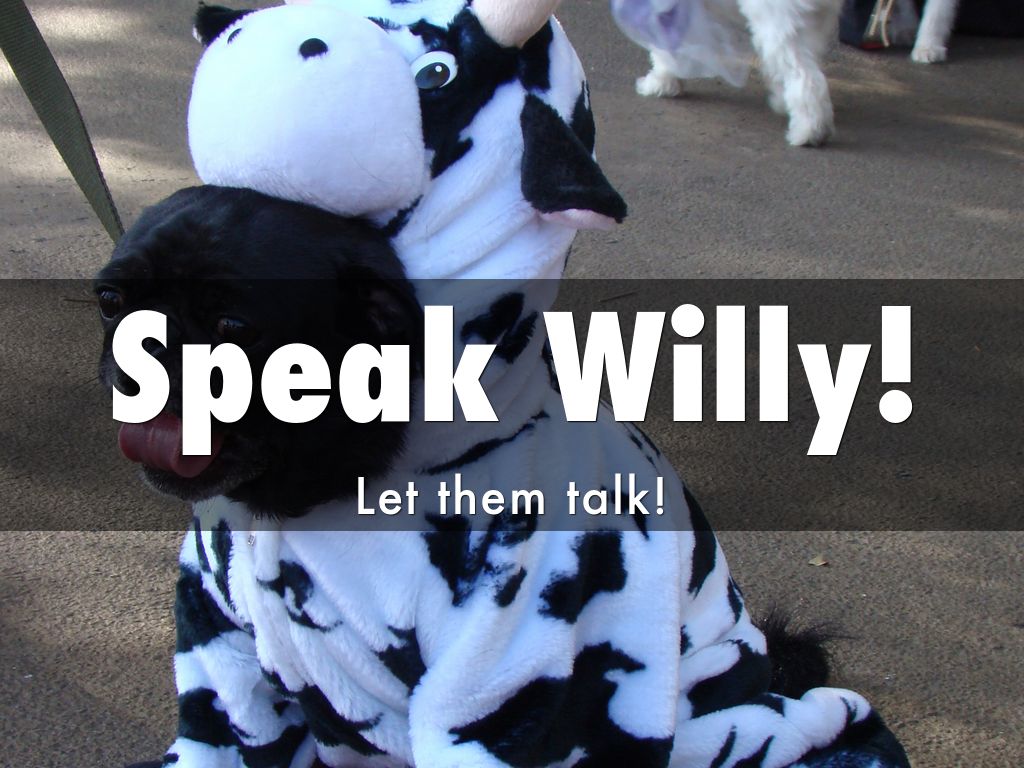 Speak Willy!