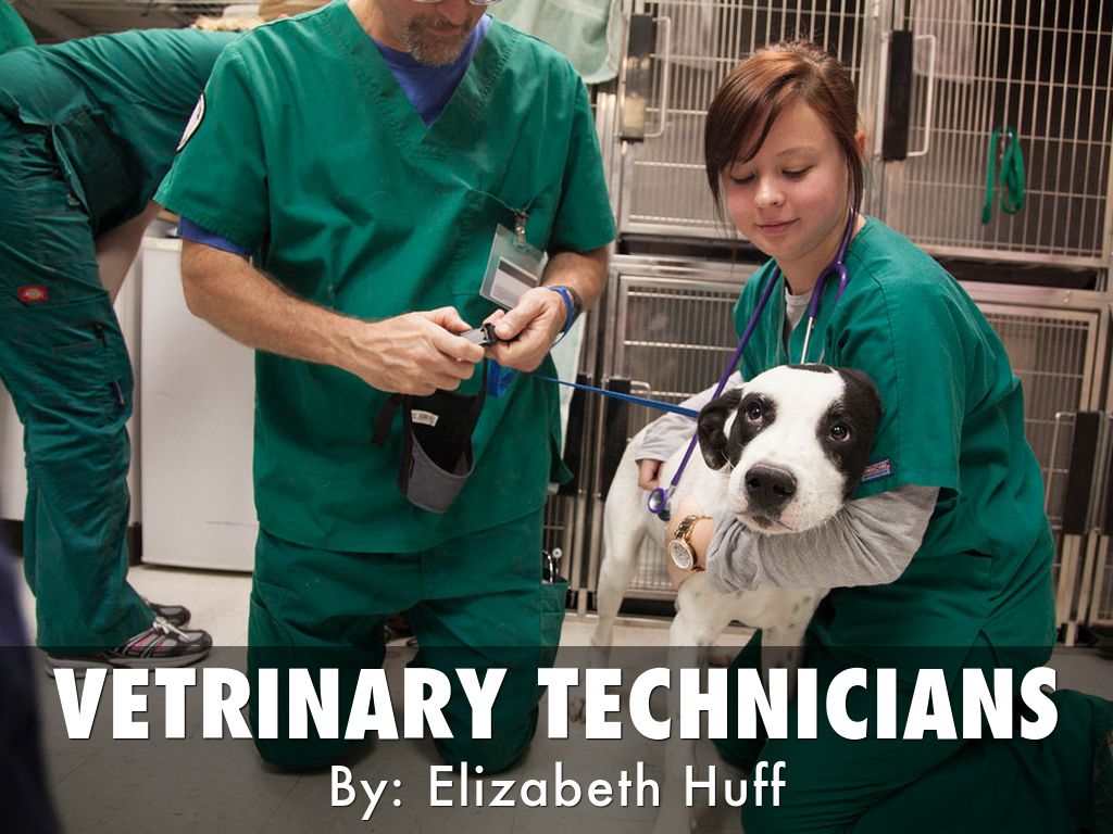 veterinary-technicians-by-elizabeth-huff