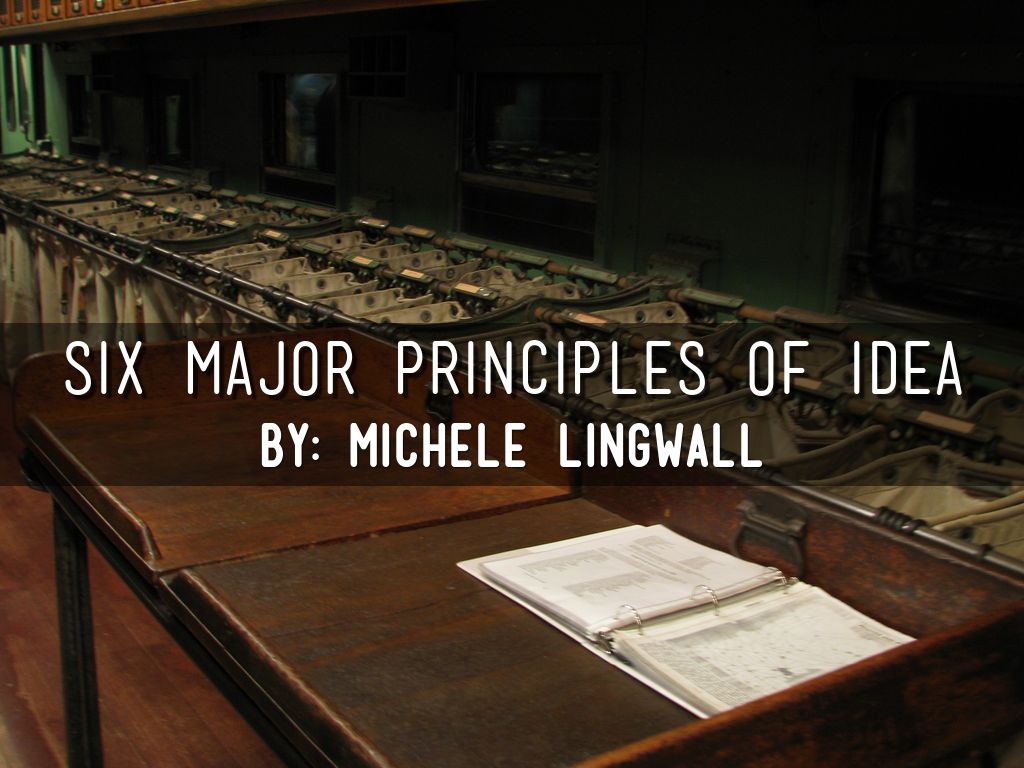 Six Major Principles of IDEA