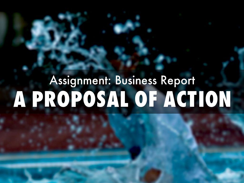 Business Report: Proposal of Action