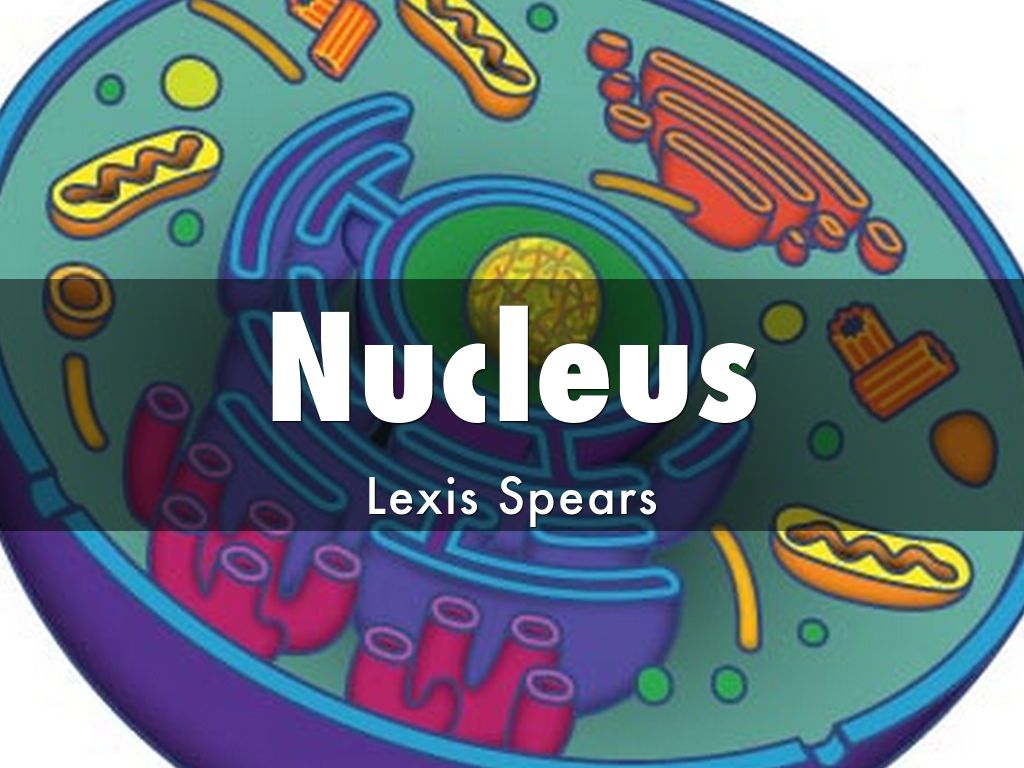 Nucleus