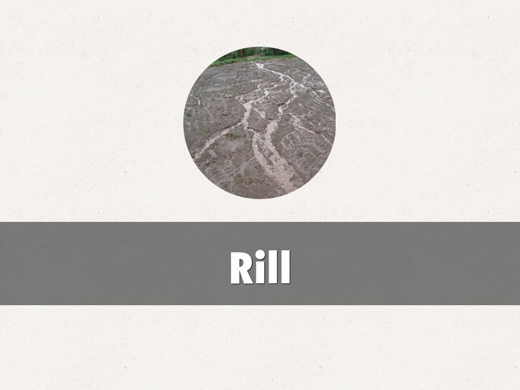 Rill
