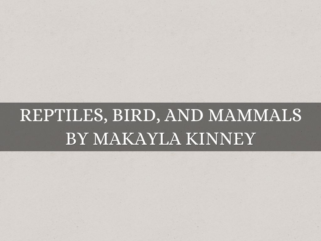 reptiles, birds, and mammals