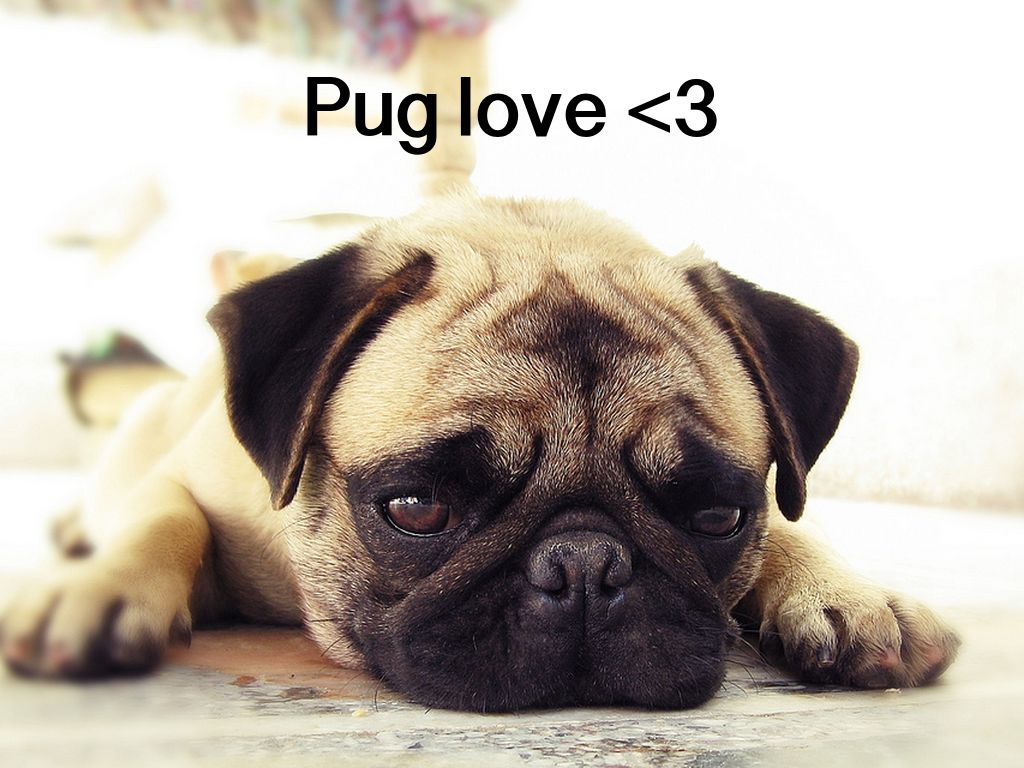 Copiar de Presentation