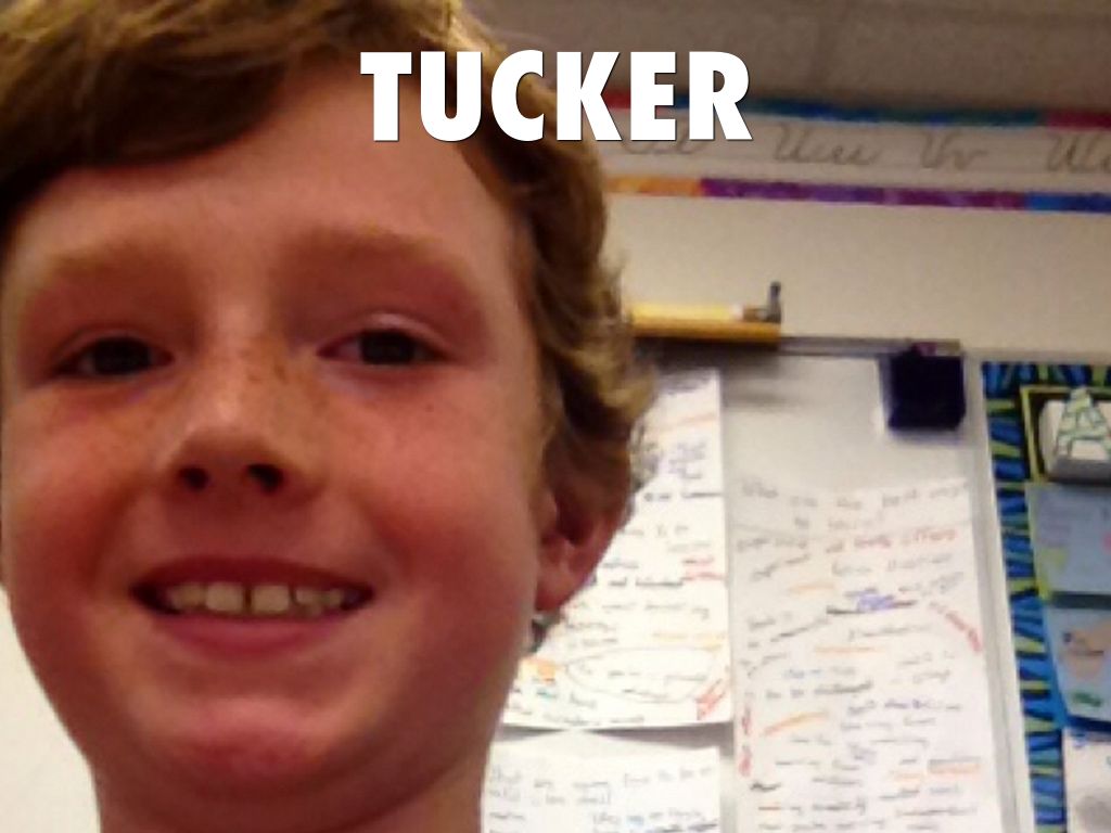 Tucker