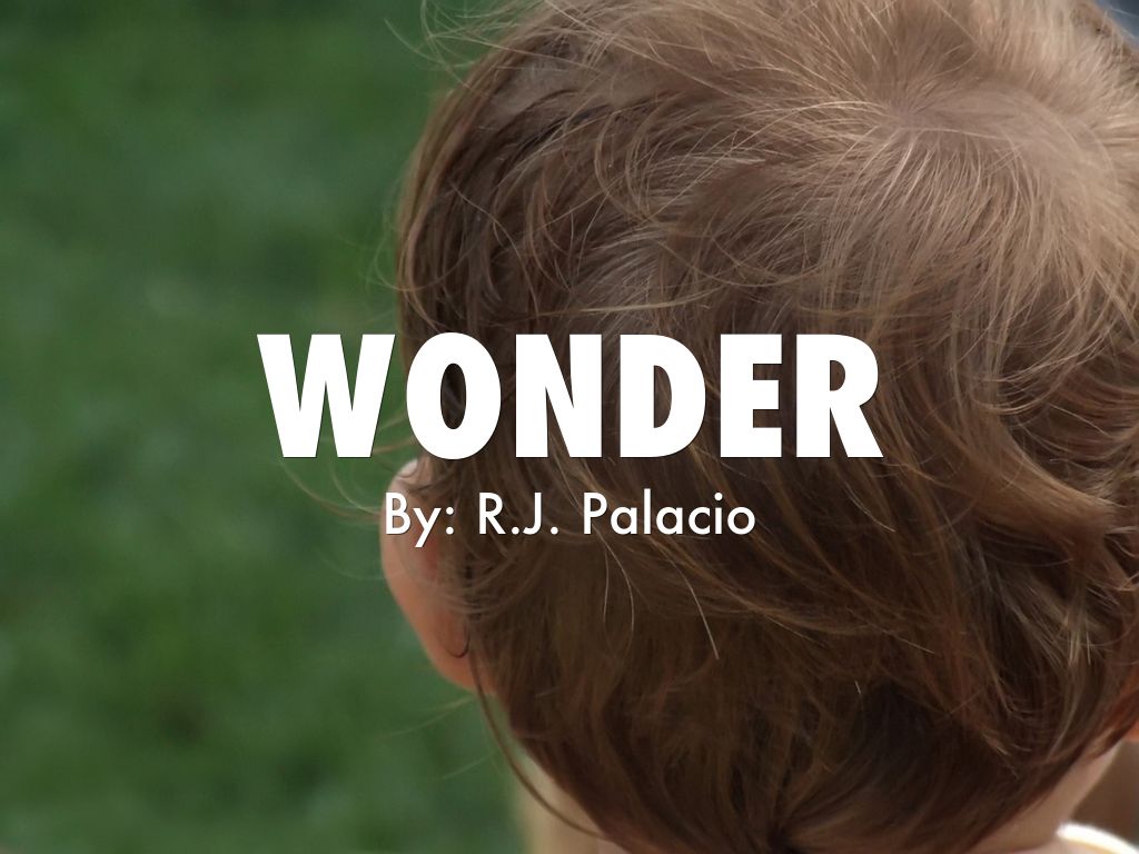 Wonder