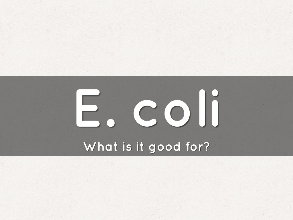 E. coli