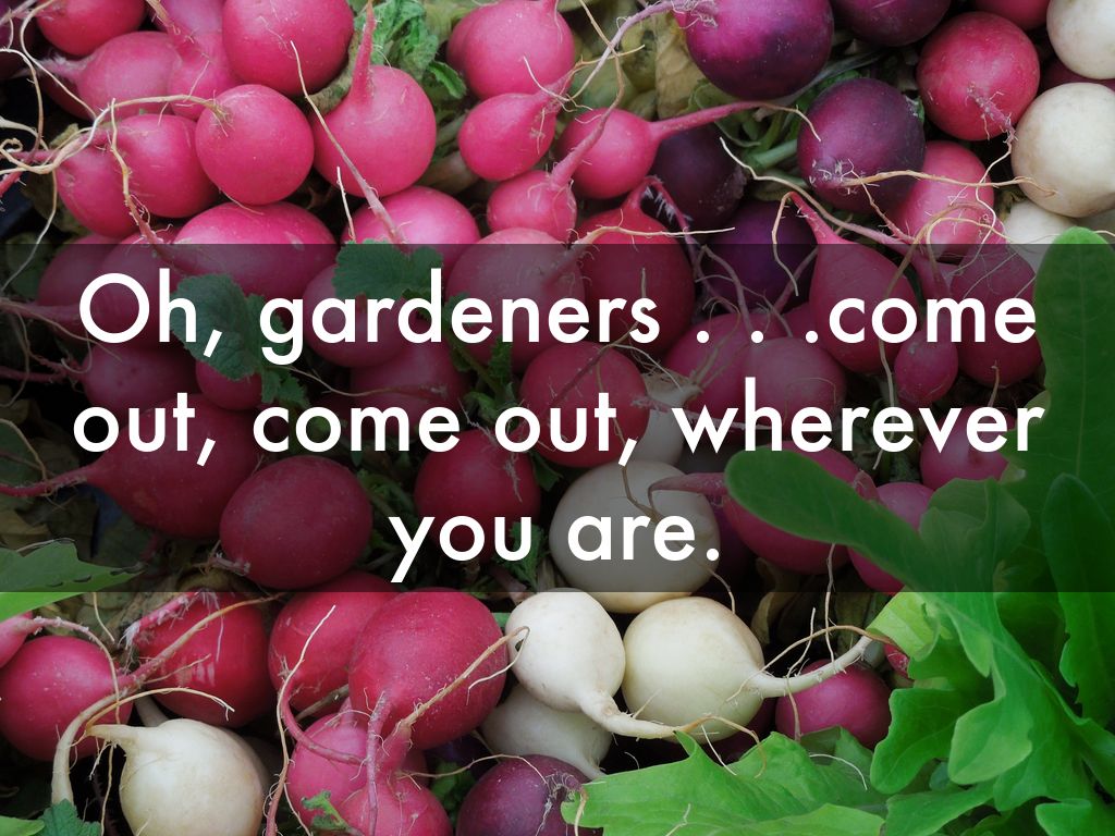Oh, gardeners . . .come out, come out, wherever you are.