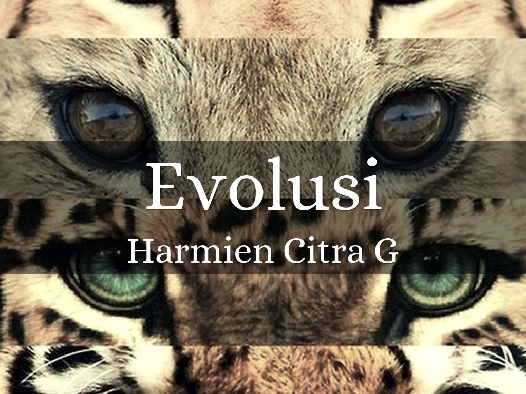 Evolusi