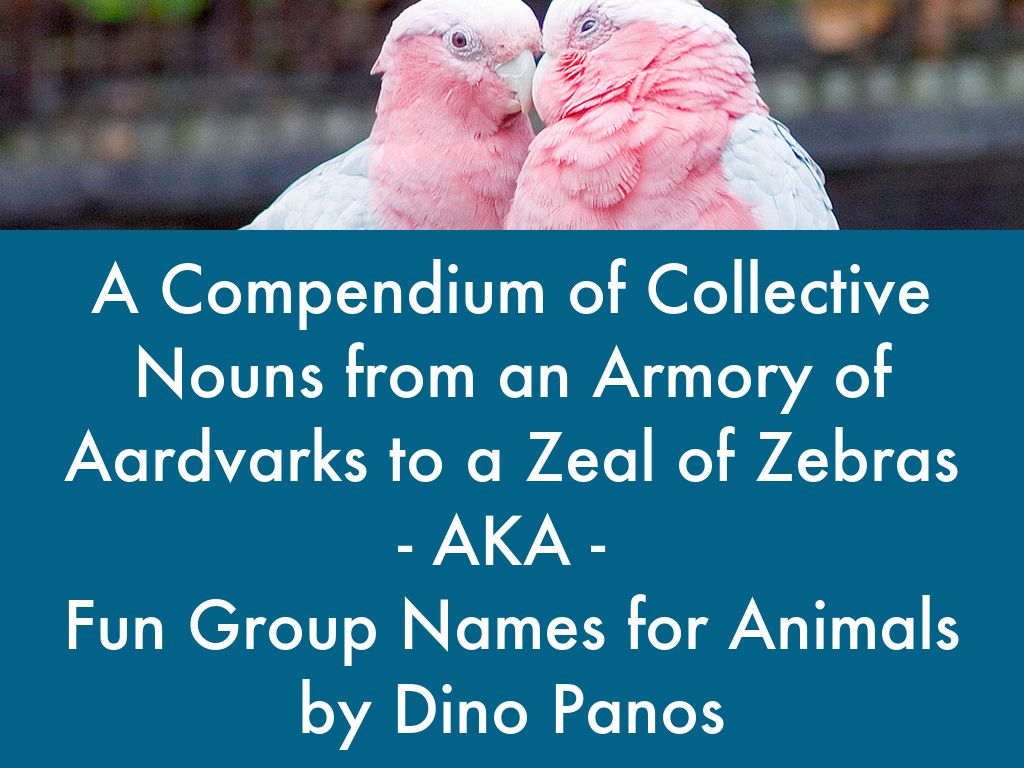 Copy of Title page for presentation