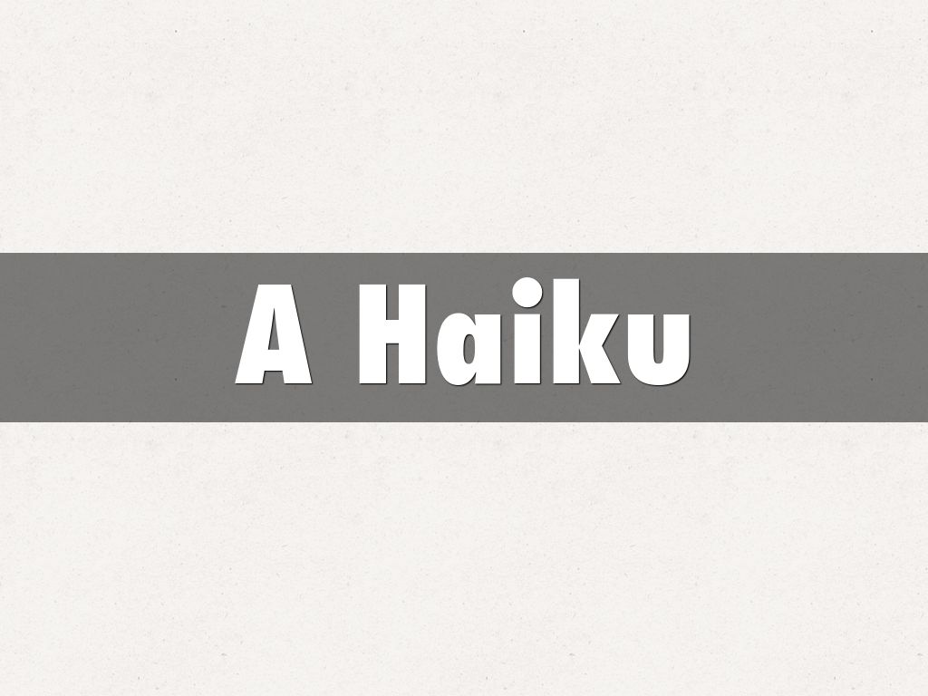 A Haiku