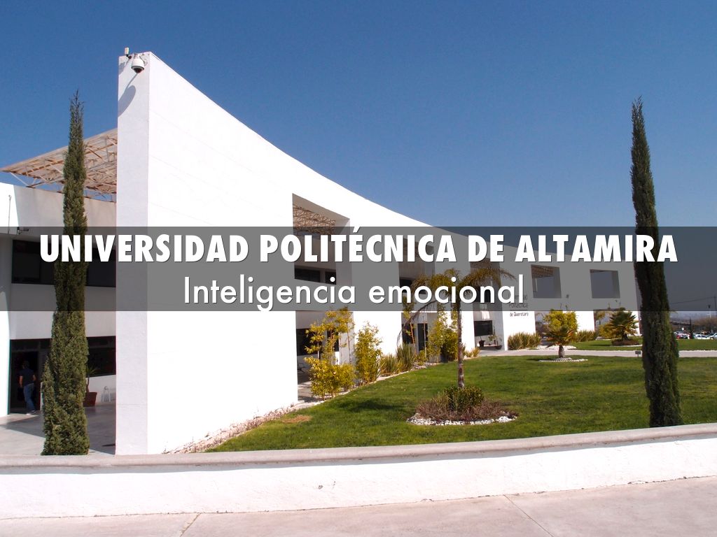Universidad politécnica de altamira