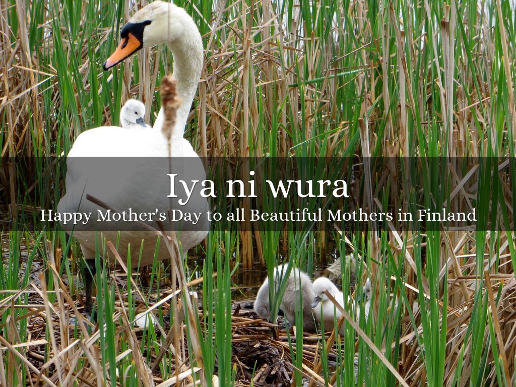 Happy Mother's Day to all Beautiful Mothers in Finland