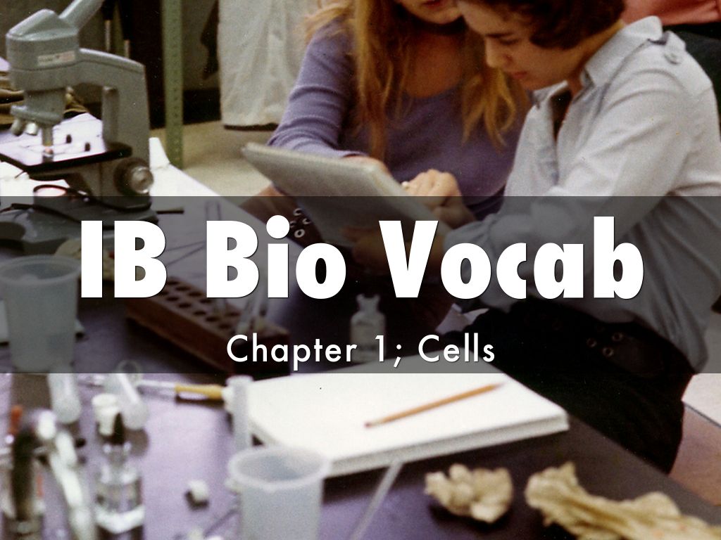 IB Bio Vocab
