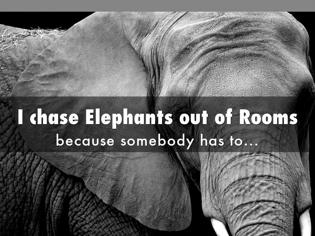 I chase Elephants out of Rooms çå¯æ¬