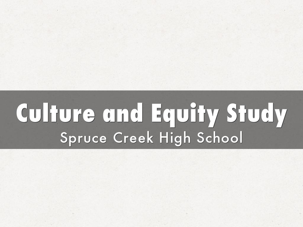 Culture and Equity Study