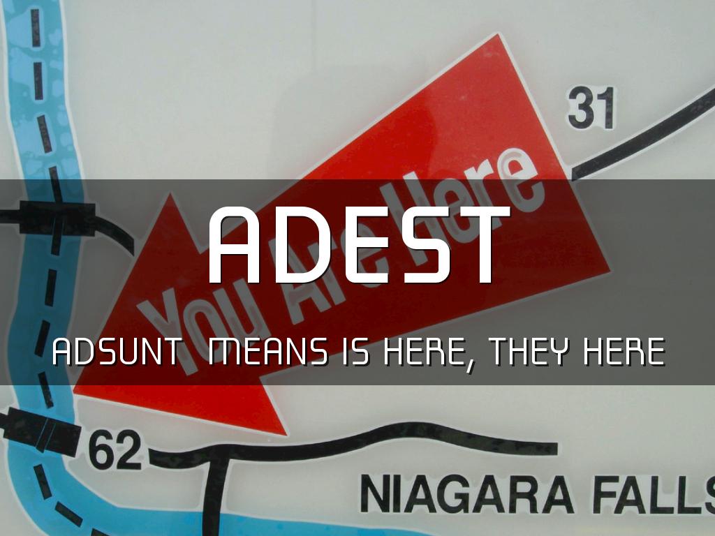 Stage 5 by: Janashia Rainey