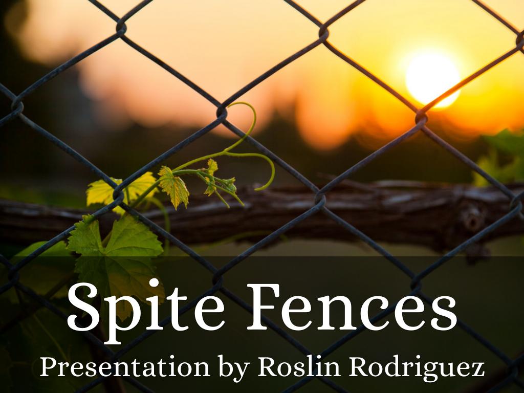 Spite Fences by iloveladybug1156