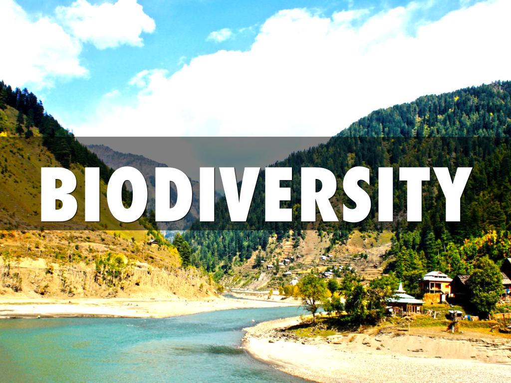 biodiversity 