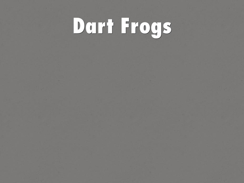 Dart Frogs