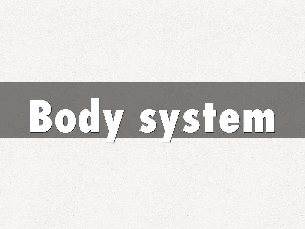 Body system